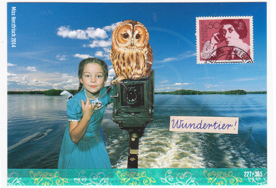 missherzfrischs_365_postkarten_227_papiergeschichten